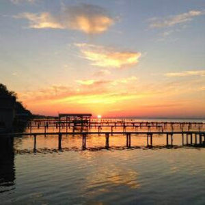 Meet your Posher, Tarra